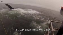人被鲸鱼吞掉后，还有生还的机会吗？带你进鲸鱼的肚子里看个明白