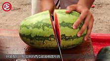 1400块一个的方形西瓜啥味？老外切开后，一口也吃不下去