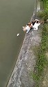 猫：我得想个办法把这条鱼给捞起来！