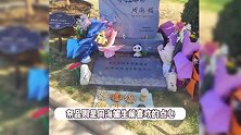 周海媚墓地前堆满鲜花和祭品，卡片留言让人想哭，字字句句都是思念