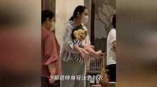 郭碧婷抱二胎儿子玩耍，乌黑秀发十分的浓密，弯腰驼背气质全无