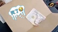 泰国：男子将4点5万泰铢私房钱藏车里，被老鼠咬得稀碎