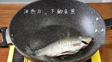 教您一招，烧出的鲫鱼汤没有一点腥味，汤汁像牛奶一样白