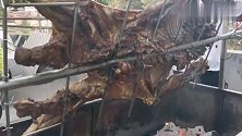 买了一头羊请客吃饭，亲戚们：这种烤法太赞了，我能吃10头！！