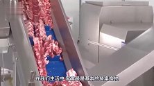 美国“屠宰活牛”有多先进活牛进去还没反应，就变成牛排出来！