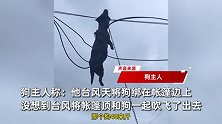 猎狗台风天连窝被吹飞，挂4米高电线上死亡，狗主：2万8元买的