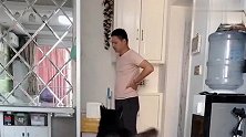 哈士奇太现实，就因为主人搬得不是牛排，就不让坐板凳