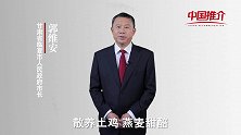 《中国推介》临夏：唯美食美景不可辜负