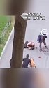 惊险！俄男子用身体保护宠物犬免受恶犬攻击！小编温馨提醒：带狗上街请拴绳！