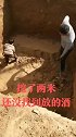 20年前放的茅台酒，挖了两米深还没挖出来，已经快傻眼了！