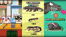 硬壳小纵队：据说科莫多巨蜥没有天敌