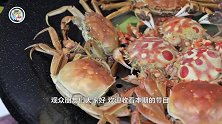 体长4米的日本“杀人蟹”，以鲨鱼为食，因核污染变异成恐怖生物