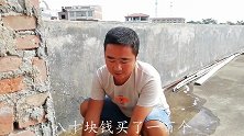 80买100个知了猴，担心不好吃，谁知油炸一下又香又脆