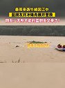 浙江衢州：一头水牛被困江中，消防员蓝朋友立刻开冲锋舟展开营救