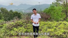 20多年前爷爷种的炸弹果，今年迎来大丰收，就是摘下来很危险