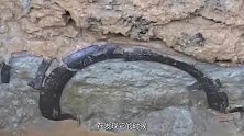 古墓挖出72具赤身少女，专家揭开墓主人身份，简直是禽兽不如！