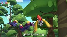海豚帮帮号第二季：动画外的有趣生物-伯劳鸟