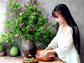 网红李子柒美食视频，实现了中国文化输出，遭网友热议