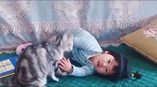 猫咪对小主人真有耐心，不管怎么蹂躏它都不生气，好暖