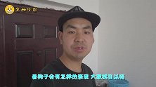 拿3个奶狗最喜欢的玩具，放在“德牧”身下，狗子会勇敢拿出吗？