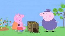 小猪佩奇：佩奇在苹果树下找到了巧克力金币，巧克力非常好吃
