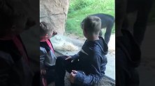狒狒的演技很不错啊，主动配合男孩，真是精彩呢！
