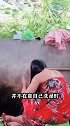 柬埔寨真实生活旁若 无人直接洗澡网友 太目中无人了吧
