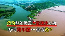 黄河携带大量泥沙入海，为何不见海水上涨？这些泥沙究竟去哪了？