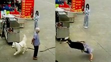 佛山被狗绳绊倒身亡老人受伤细节：额头鼻骨出血严重