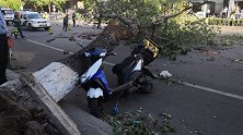 痛心！北京遭遇8级以上大风 外卖小哥被吹倒树木砸中身亡