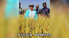 贵州大叔不语，只是一味在非洲种地！大叔教非洲人种地产量翻了近5倍
