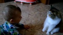 对视几秒钟，开始动手，宝宝和猫咪势均力敌呀！