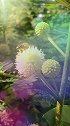 五一劳动节，给勤劳的打call