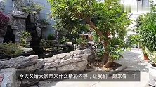 假山鱼池：我家的院子越来越好看了！园林化的设计，绿植点缀，美