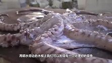 奇葩小哥把熔融铜直接浇在章鱼上，这是用熔融铜来炒鱿鱼