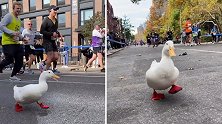 可爱鸭鸭参加纽约马拉松，穿着定制跑鞋与选手们一起奔跑