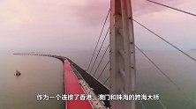 港珠澳大桥没有加油站，汽车没油了咋办？看中国设计师的厉害！