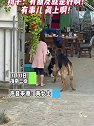 海南三亚，小女孩帮狗子吵架，狗子：有朋友就是好啊！