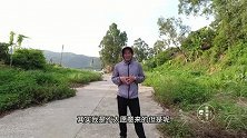 东莞无污染的山体水库，每天几百人来钓鱼，夜钓罗非全是一斤以上