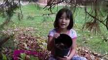 中国女孩被收养的第7年，从夏天到冬天的美国农场生活，太美好了