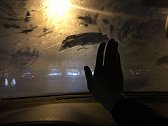车内雾气影响视线？教你一招迅速除雾，解决你的烦恼！