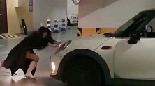 女司机停车又见高手，原谅我不厚道的笑了！