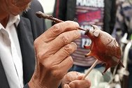 手艺人，每看一次内心都会特别激动！