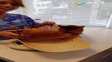 猫咪看到小伙伴要接受医生检查，就努力“救”它出去