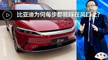YYDS，比亚迪为何每一步都能踩在风口上
