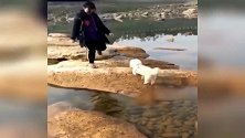 哈士奇到底知不知道这脚是它的 怎么控制不了总挨踢