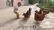 农村娃就这么厉害，出门就成群鸡保镖，小宝和鸡相处太融洽萌翻了