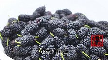 清洗桑葚时，有人加盐有人加碱，都错了，教你正确做法，太干净了