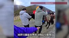4000多米现“奇怪”帐篷，男子高反昏迷遇好心人紧急救援，救援者呼吁不要盲目跟风
