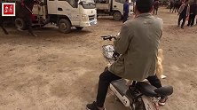 狗狗挑衅烈马，烈马想挣脱跟狗狗干一架，狗跟马有仇吗？